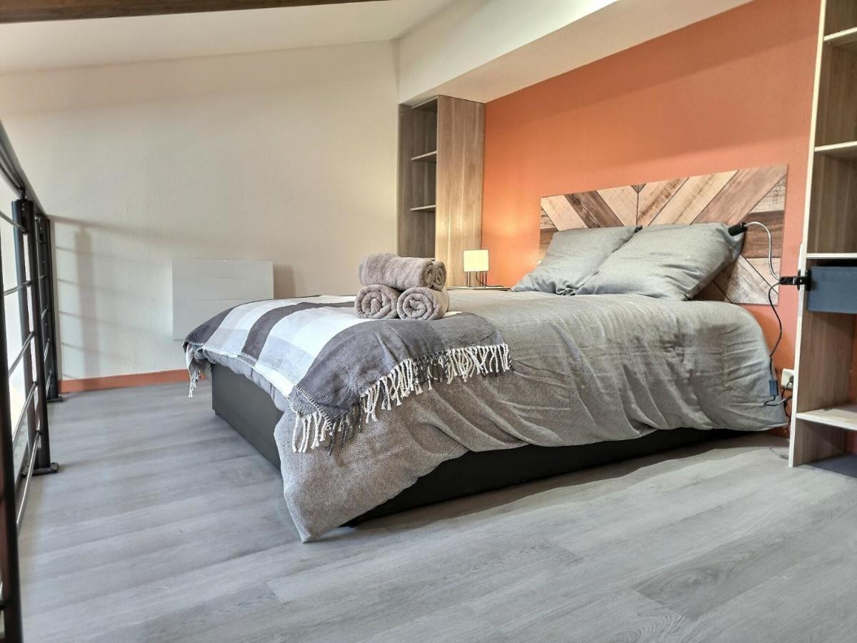 Апартаменты Le Coquelicot - Hyper-Centre - Wifi - Calme Альби Экстерьер фото